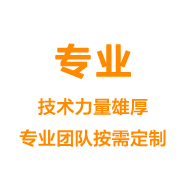 專業(yè)——技術(shù)力量雄厚專業(yè)團(tuán)隊(duì)按需定制